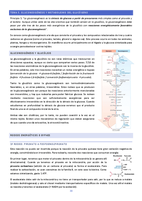 TEMA-5-Y-6-BIOQUIMICA.pdf