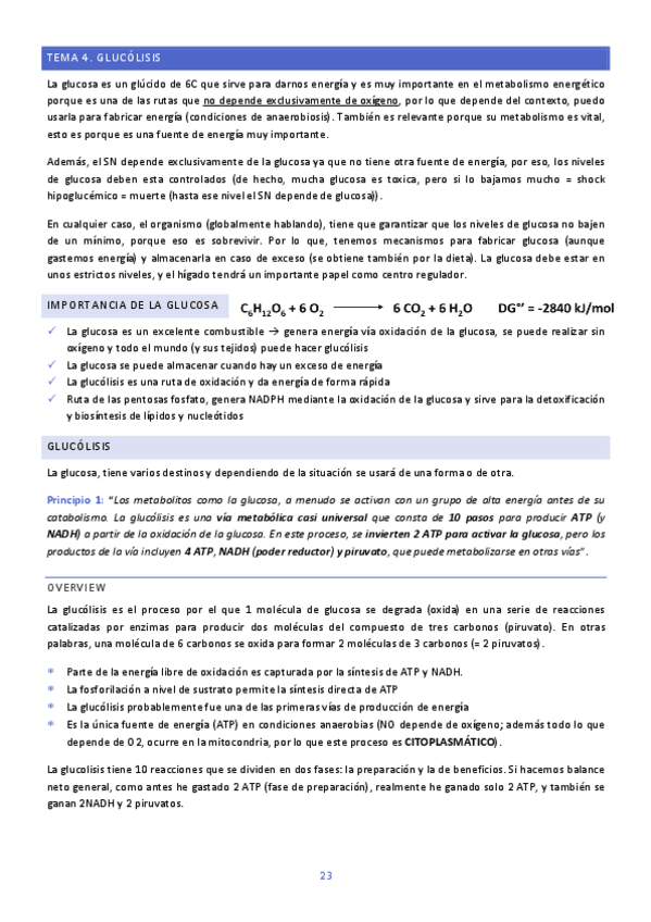 TEMA-4-BIOQUIMICA.pdf