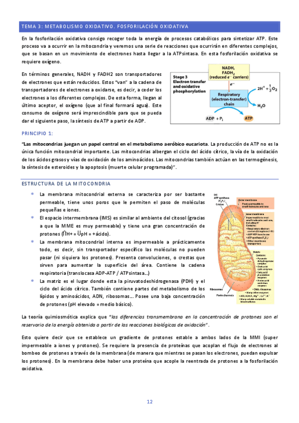 TEMA-3-BIOQUIMICA.pdf