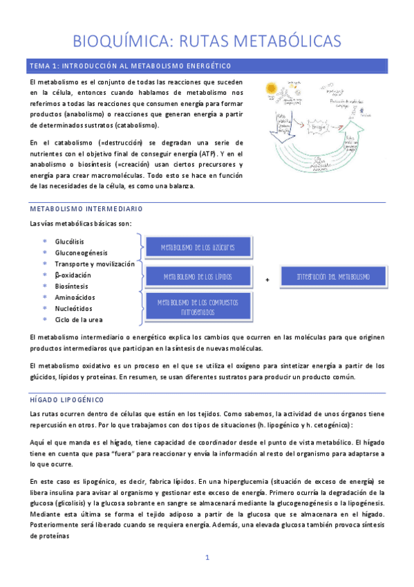 TEMA-1-Y-2-BIOQUIMICA.pdf