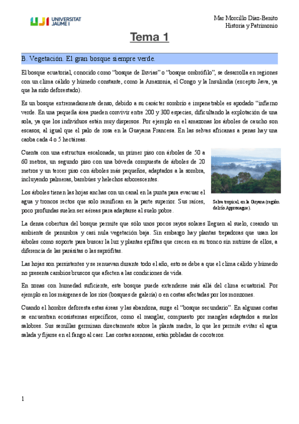 Tema-1.-B.-Vegetacion.-El-gran-bosque-siempre-verde..pdf