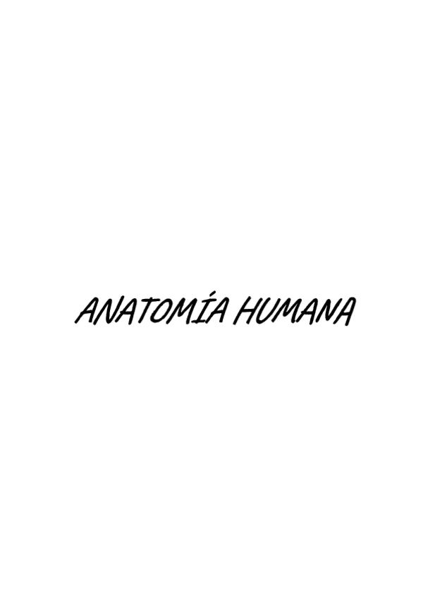 ANATOMIA HUMANA TEMA7.pdf