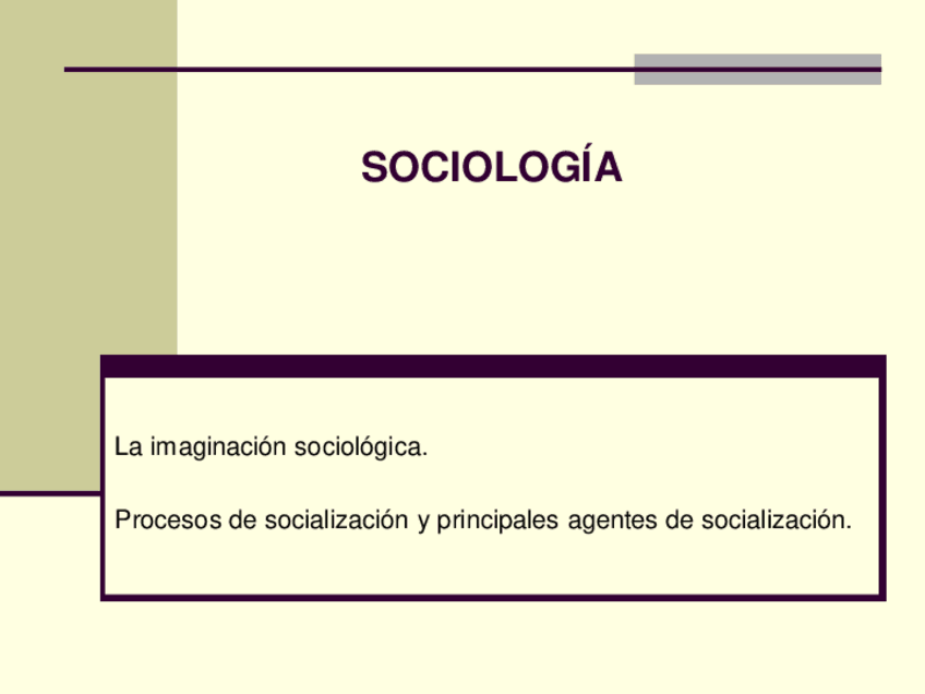 Sociologia.pdf