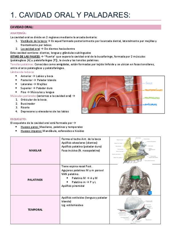 DRURE-Anato-Completo.pdf