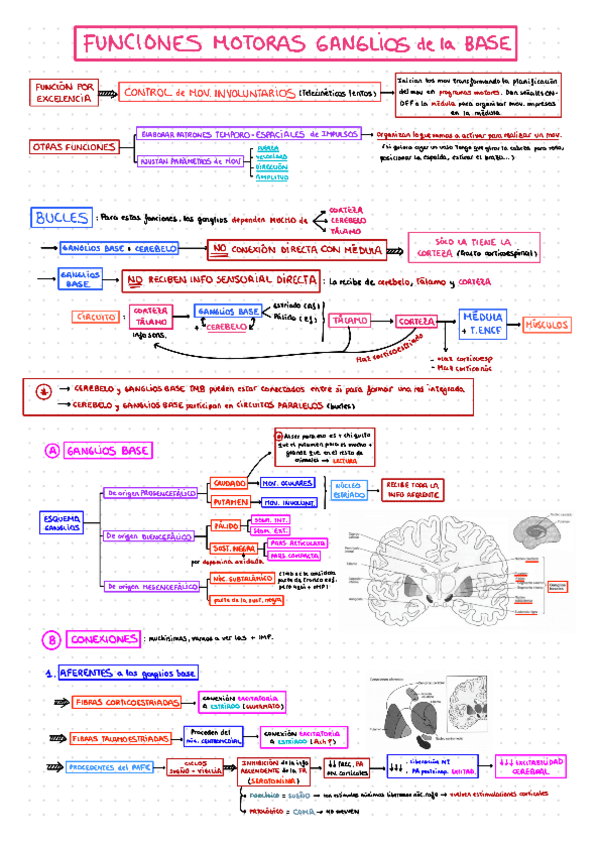 M4-GANGLIOS-DE-LA-BASE.pdf
