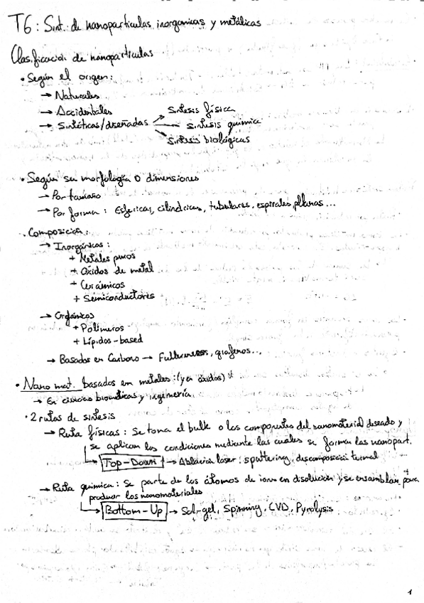 T6-Sintesis-NP-nobles.pdf