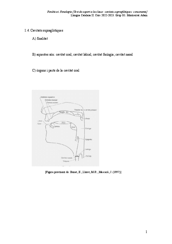 fftsc1b2022-23cavsupraglotcons.pdf