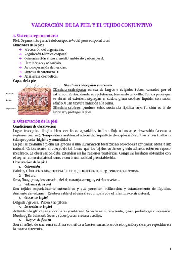 2.-tejido-conjuntivo.pdf