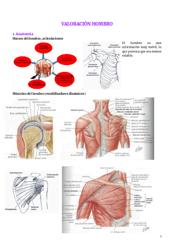 5.-valoracion-hombro.pdf