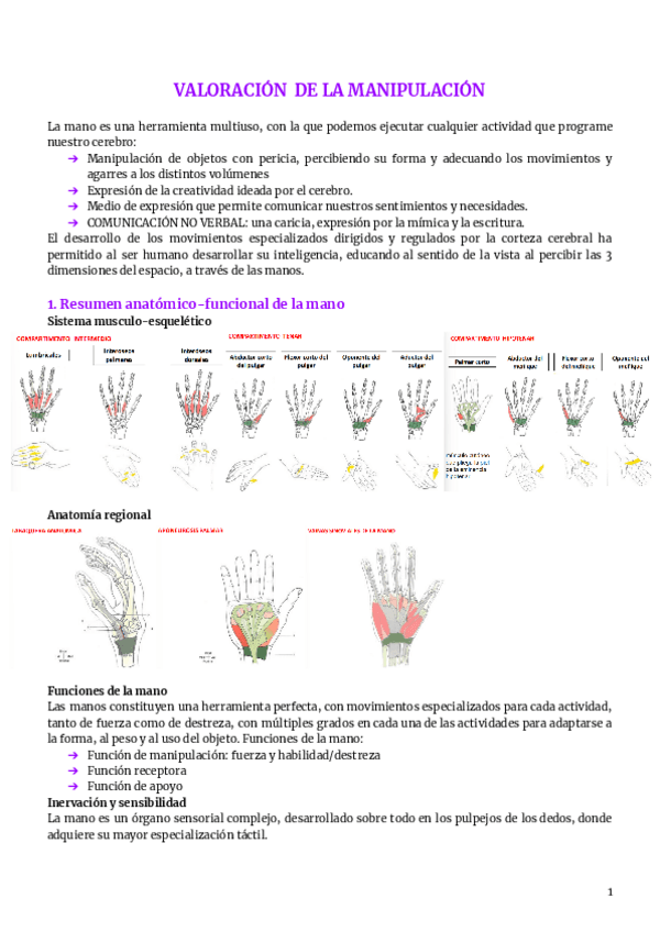 7.-mano.pdf