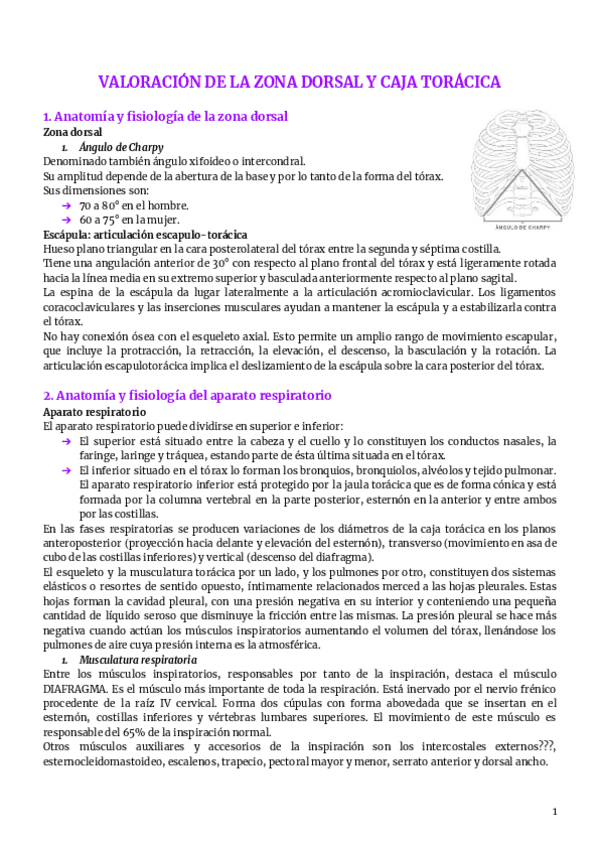 9.-zona-dorsal.pdf