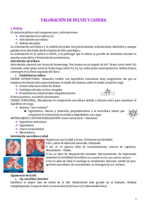 11.-pelvis-cadera.pdf