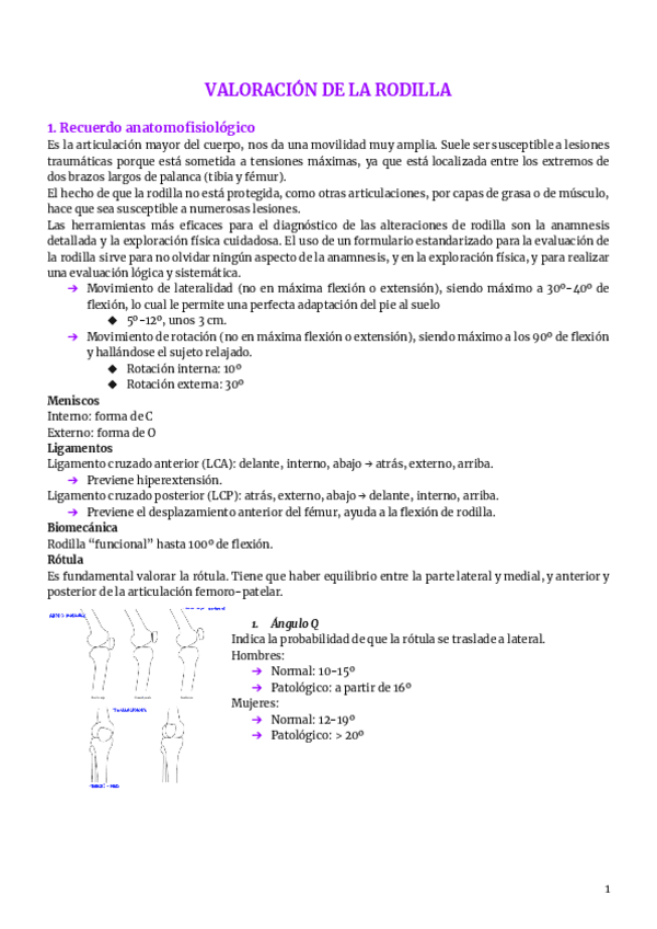 12.-rodilla.pdf