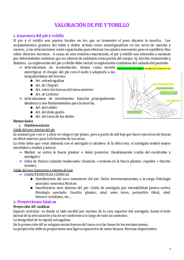 13.-pie.pdf