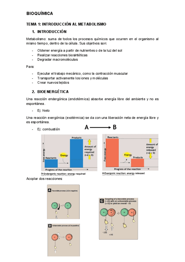 tot-bioquimica.pdf