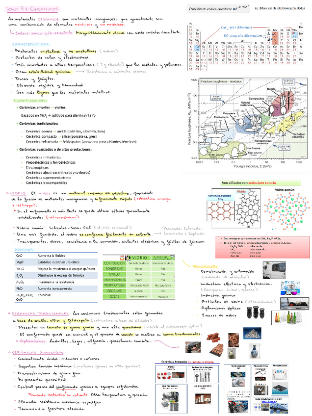 Resumen Final TSM.pdf