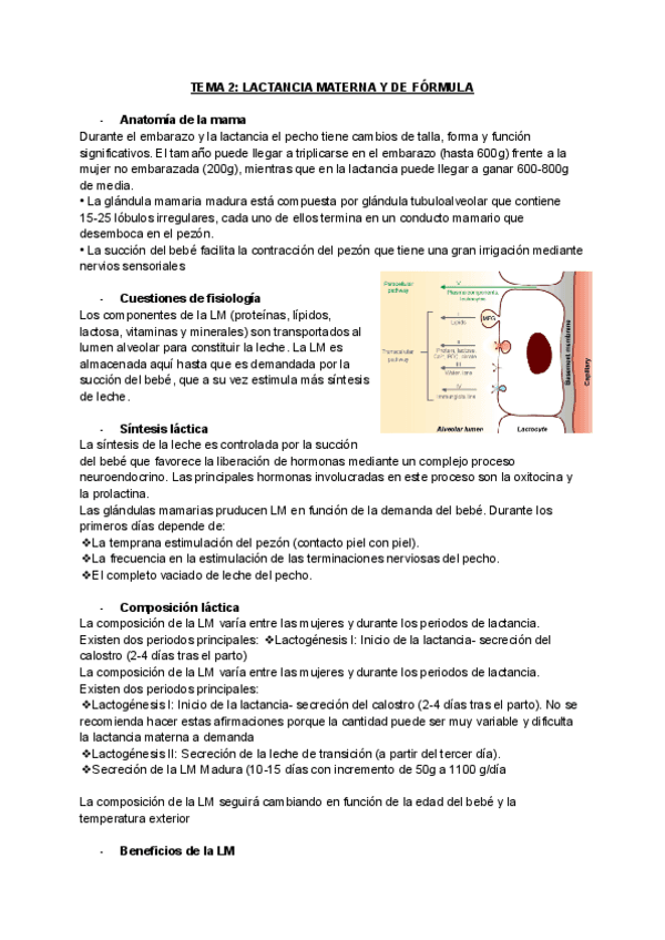 TEMA-2-Lactancia-materna.pdf