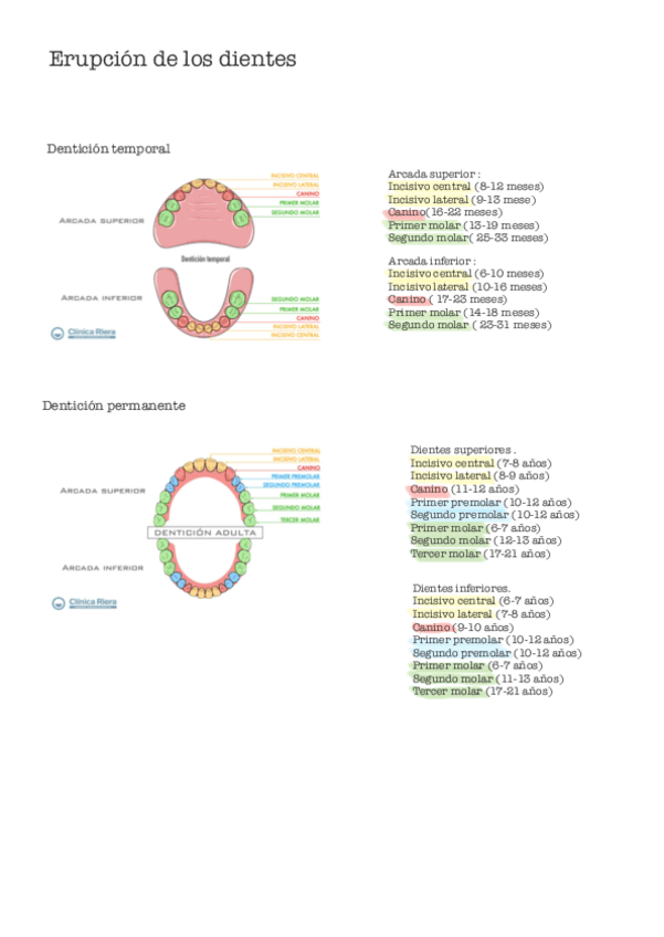 Erupcion-dientes.pdf