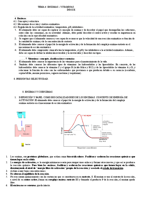 ENZIMAS-Y-VITAMINAS.pdf