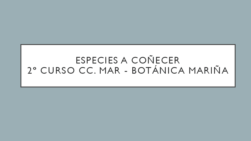 Lista-de-especies-a-conecer.pdf