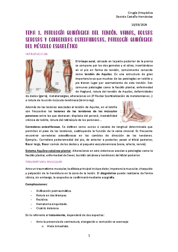 CIRUGIA-ORTOPEDICA-T-1-18.pdf