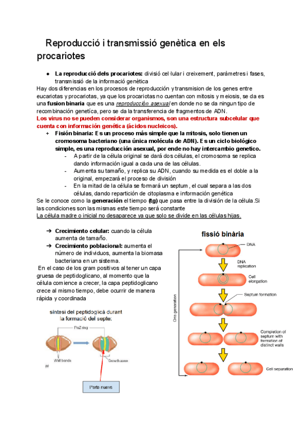 Tema-2.5-Reproduccio-i-transmissio-genetica-en-els-procariotes.pdf