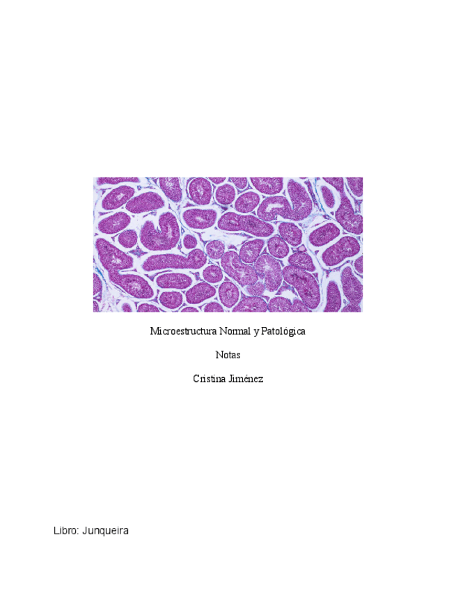 Notas-de-Histologia.pdf