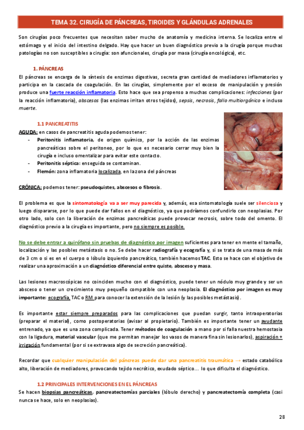 Cavidad-abdominal-y-torax..pdf