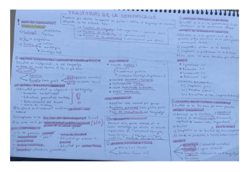 ESQUEMA-TRASTORN-DE-LA-COMUNICACIO.pdf