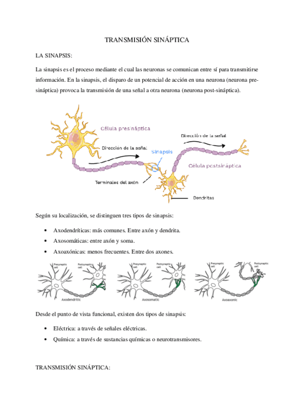 biologia-tema-5.pdf