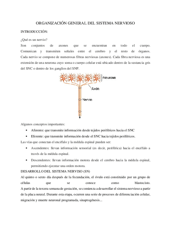 biologia-tema-6.pdf
