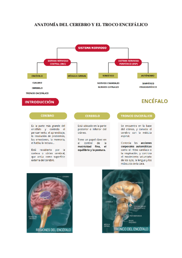 biologia-tema-8.pdf