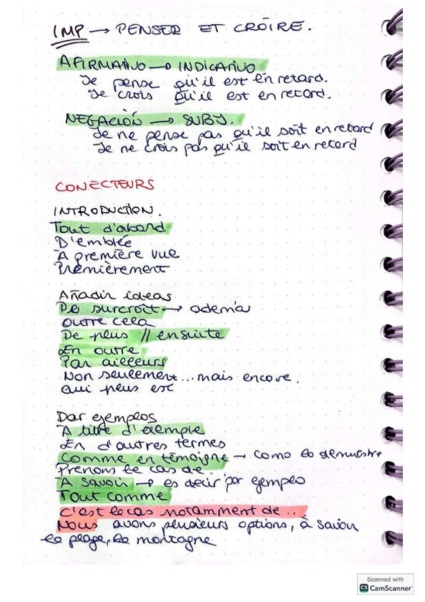 mis-apuntes-de-frances-c1-unidos.pdf