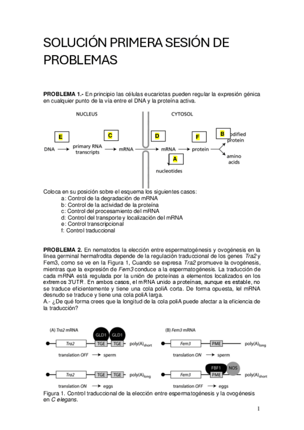 soluciones-1oSesion.pdf