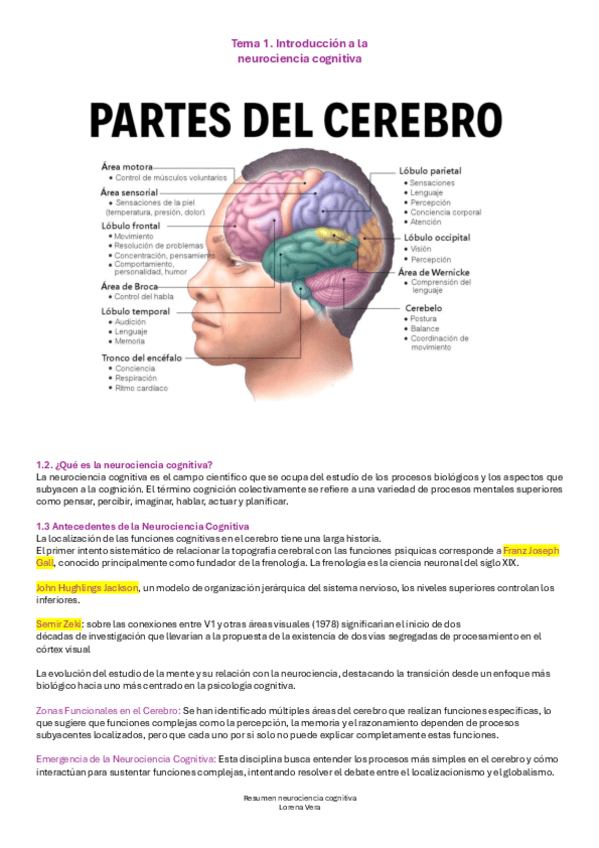 Resumen-neurociencia-cognitiva-Completo.pdf