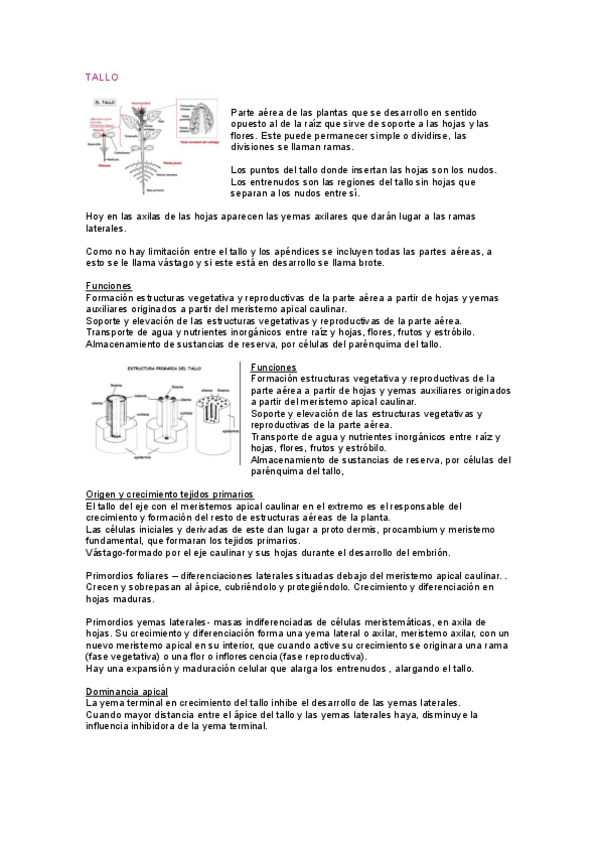 SEGUNDO-PARCIAL-BIOLOGIA.pdf