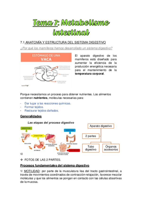 TEMA-7.-METABOLISMO-INTESTINAL.pdf