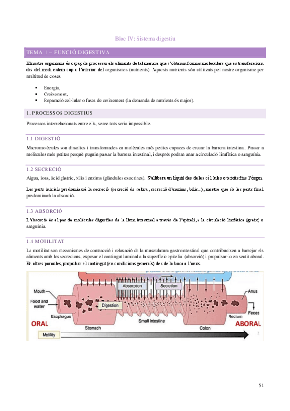 Apunts-fisio-2n-parcial-Digestiu.pdf