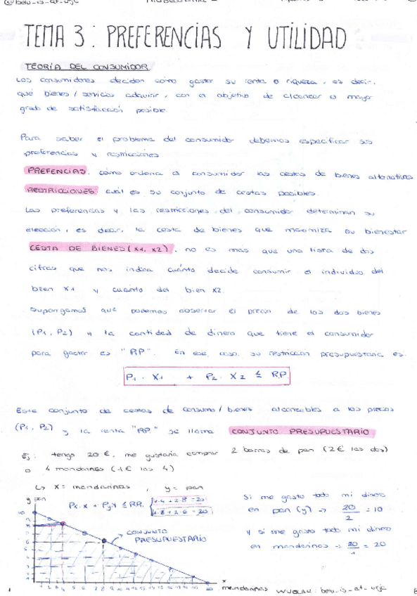 TEMA-3.-PREFERENCIAS-Y-UTILIDAD-MICROECONOMIA-I.pdf