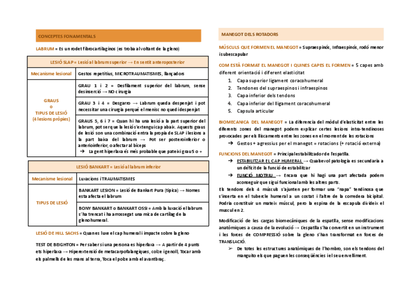 ESQUEMES-CADENES-MUSCULARS.pdf