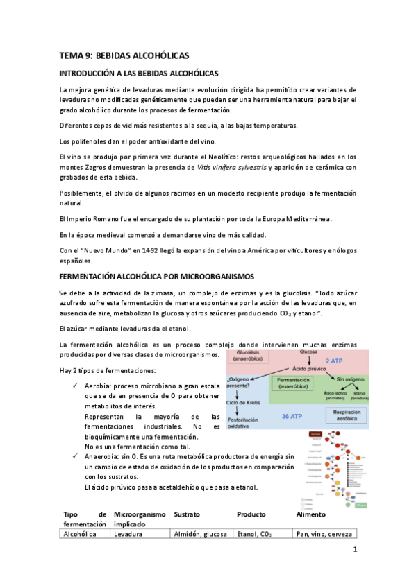 TEMA-9.pdf