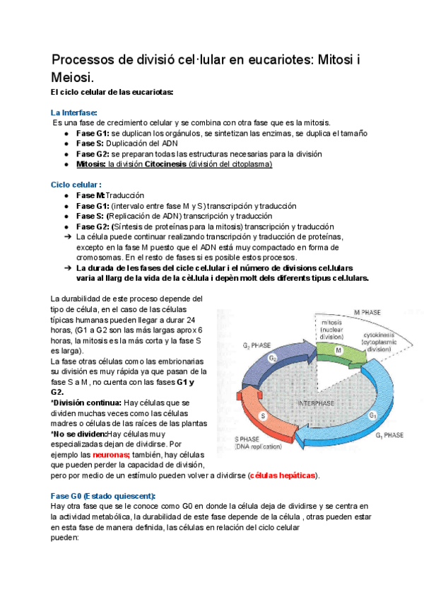Tema-2.3.-Processos-de-divisio-cellular-en-eucariotes-Mitosi-i-Meiosi..pdf