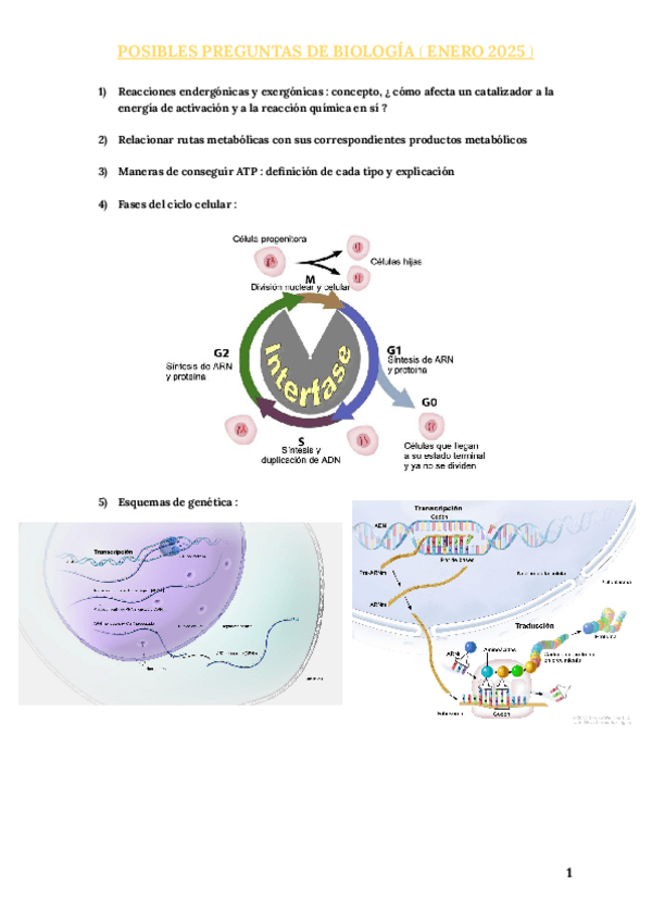POSIBLES PREGUNTAS DE BIOLOGÍA (ENERO 2025).pdf