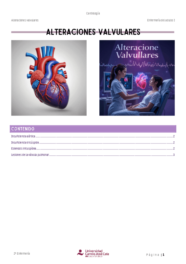 Resumen-Alteraciones-valvulares.pdf
