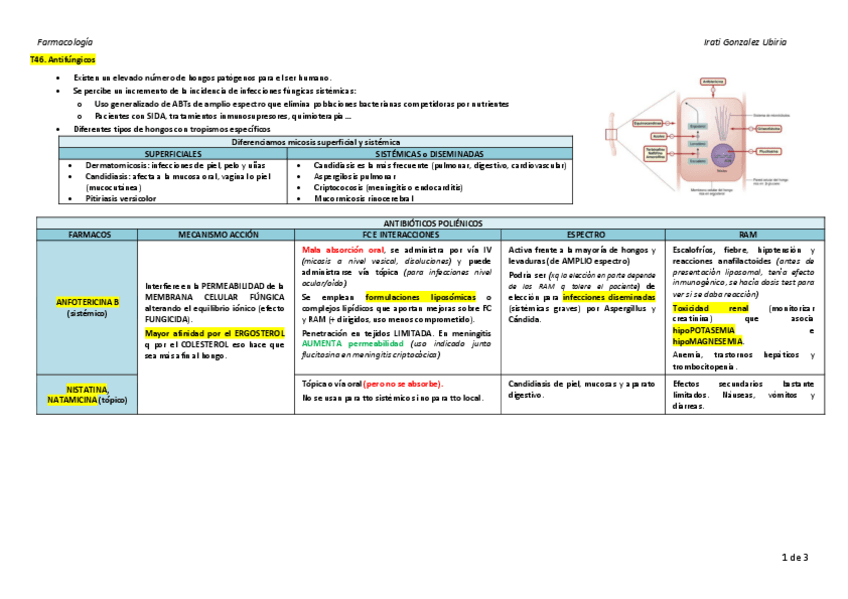 T46.-Antifungicos.pdf