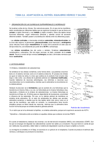 TEMA 5-6 - Adaptación al estrés - Equilibrio hídrico y salino.pdf