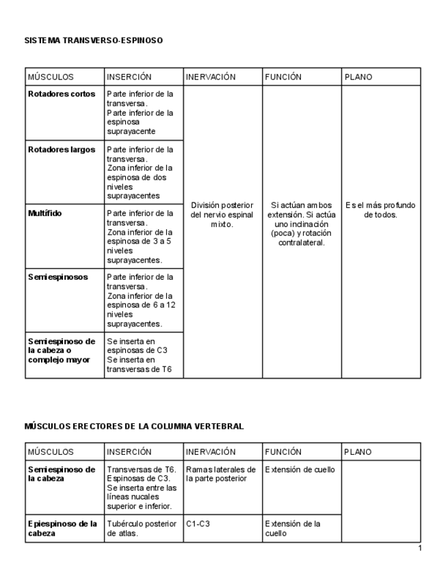 musculos.pdf