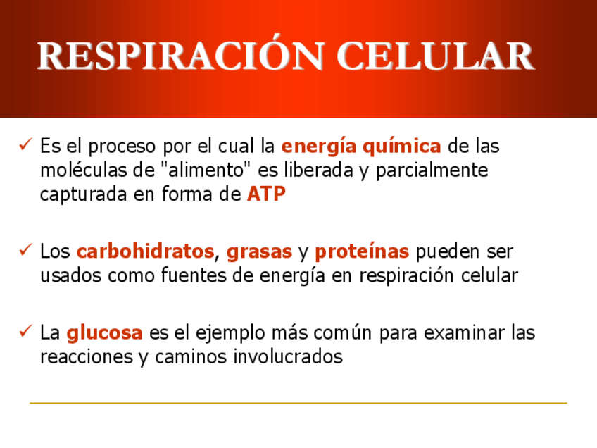 RESPIRACION-CELULAR.pdf