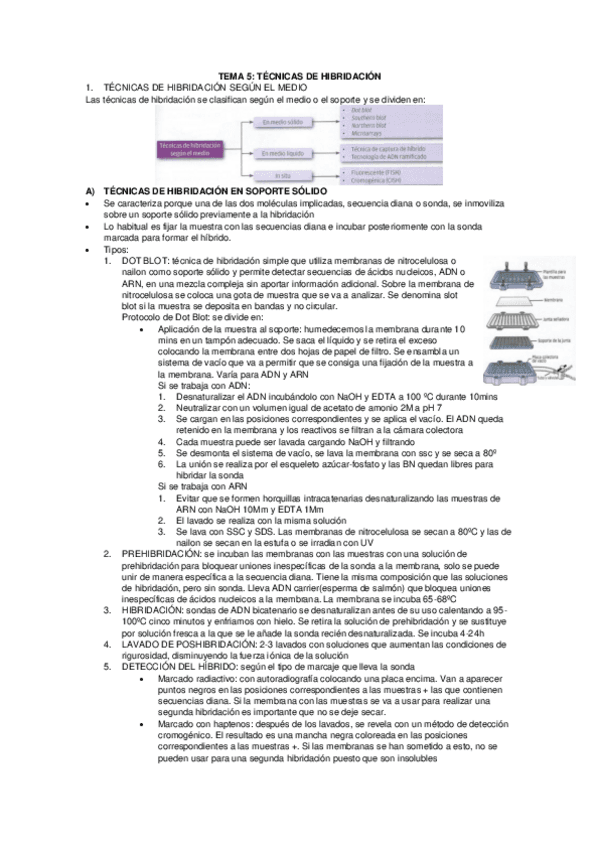 TEMA-5-TECNICAS-DE-HIBRIDACION.pdf