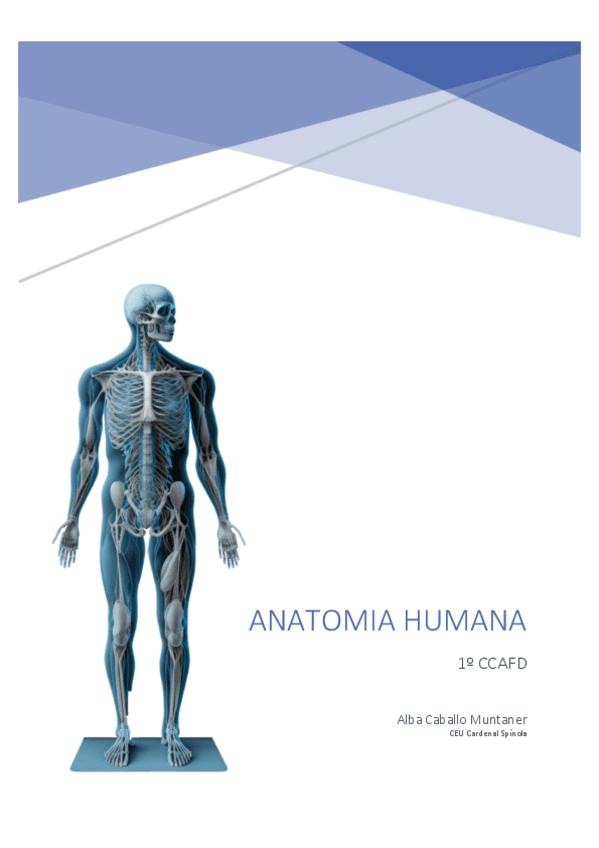 ANATOMIA-HUMANA-2o-parcial.pdf